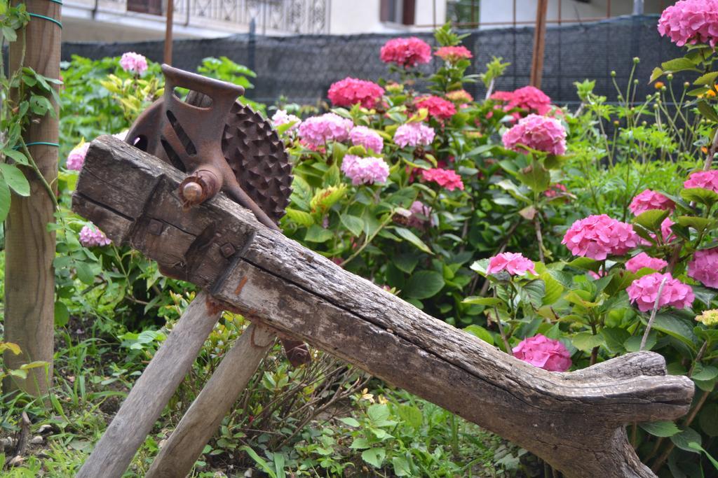 Tarzo Ca Di Minuヴィラ 部屋 写真